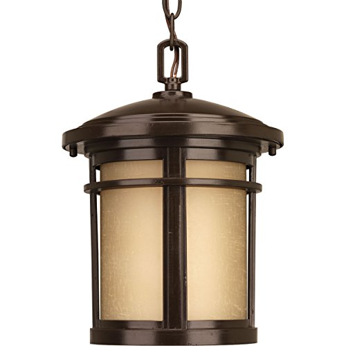 Progress Lighting P6524-20 1-100W Med Hanging Pendant, Antique Bronze