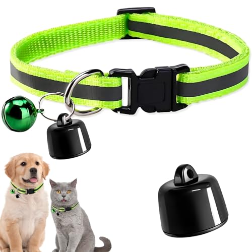Localizzatore GPS Mini GPS Tracker Per Gatti E Cani compatibile con iOS e Android localizzazione in tutto il mondo bagagli localizzatore animali domestici e gatti Feeder Toy
