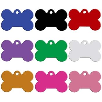 vizsla temperament quiet