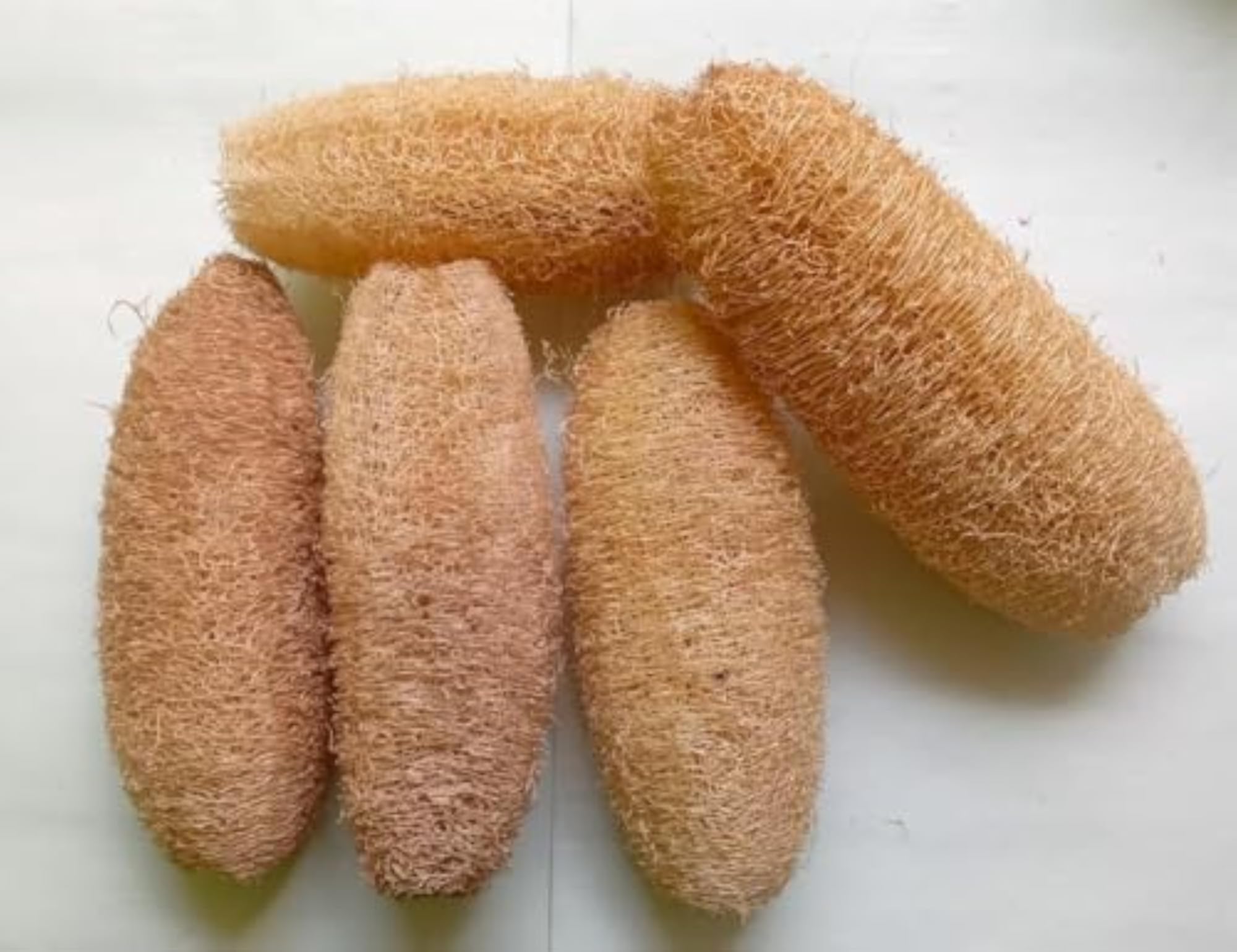 Eco-Friendly Natural Loofah Bath Scrubber, Pack of 5
