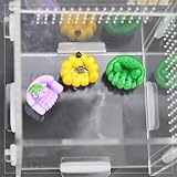 tinkare 6 Pack Jumping Spider Sofa for Spoods Pet Spider Jumping Spider Bed Jumping Spider Climbing Accessories Jumping Spider Habitat Decor