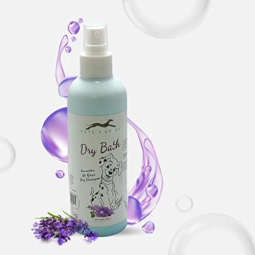 See full amazon price history chart for Pets Empire Shampoo for Dogs (Pack of 1 x 250gm)| Lavender Dry Bath Dog Shampoo | Natural Anti-Fungal, Anti-Itching Formula | Soothes Itching, Rashes, Infections | Healthy, Shiny Coat Pets Empire Shampoo for Dogs (Pack of 1 x 250gm)| Lavender Dry Bath Dog Shampoo | Natural Anti-Fungal, Anti-Itching Formula | Soothes Itching, Rashes, Infections | Healthy, Shiny Coat (B08ZHR4LJH) Amazon Price History, Amazon Price Tracker