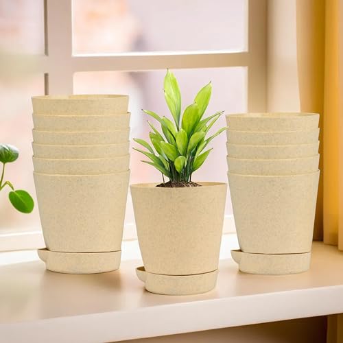 Image of Kuber Industries Pack of 12 Flower Pot | Flower Pot for Living Room-Office | Flower Planters for Home-Office-Lawns & Garden Decor | Self Watering Flower Pots | Marble Titan | 4 Inch | Beige
