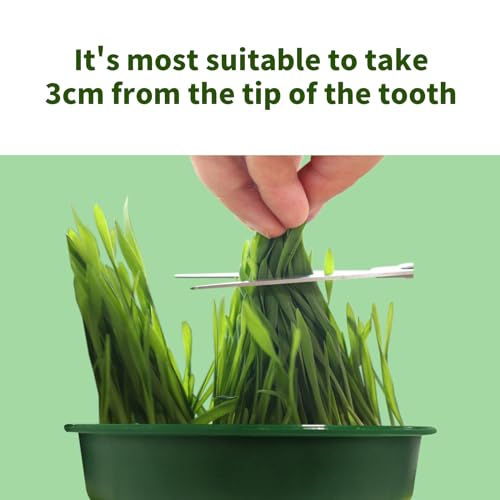 iNextStation-Cat-Grass-Planter-3Pcs-Hydroponic-Cat-Grass-Box-Plastic-Catnip-Cat-Grass-Growing-Kit-Soilless-Culture-Planting-Container-for-Outdoor-Cat-Dogs-and-Other-Pets