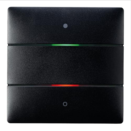 Capteur tactile à 2 boutons Theben LUXORliving iON2 interrupteur capteur température