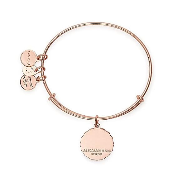 Alex-and-Ani-Words-are-Powerful-Everything-Happens-for-A-Reason-Bangle-Bracelet Alex and Ani Mantras + Inspirational Expandable Bangle for Women, Everything Happens for a Reason Charm, Shiny Rose Gold Finish, 2 to 3.5 in