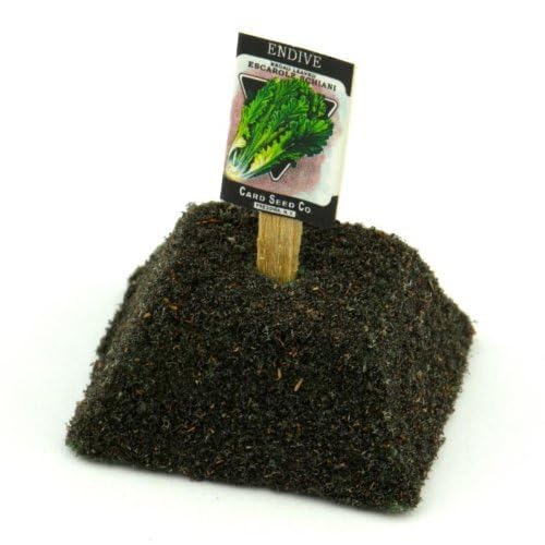 MyTinyWorld Dolls House Miniature Endive Seed Packet With A Stick