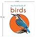 My First Book of Birds