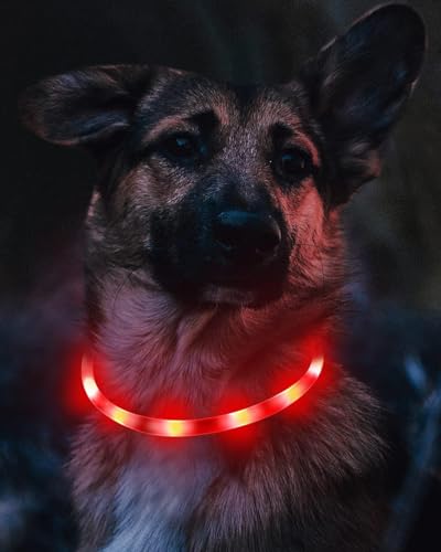 Joytale Leuchthalsband Hund USB Aufladbar Hundehalsband Leuchtend für Große Mittel Kleine Hunde und Welpe, Led Halsband mit 3 Modi für Sicherheit, Rot