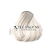 Tec Italy Designer Color Hight Fidelity Color 3 Oz (10.1 Extra Light Ash Blonde)