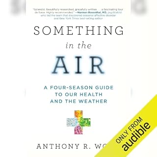 Something in the Air cover art