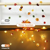 Liyade LED Lichterkette Herbst, 2.2M 20LED – Ansicht 3
