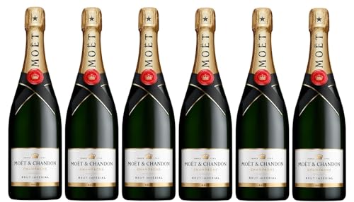 MOËT & CHANDON ブリュットシャンパン 5本セット　モエ白 モエシャンドン 白」の人気商品一覧 | 安い商品を通販サイトから探す