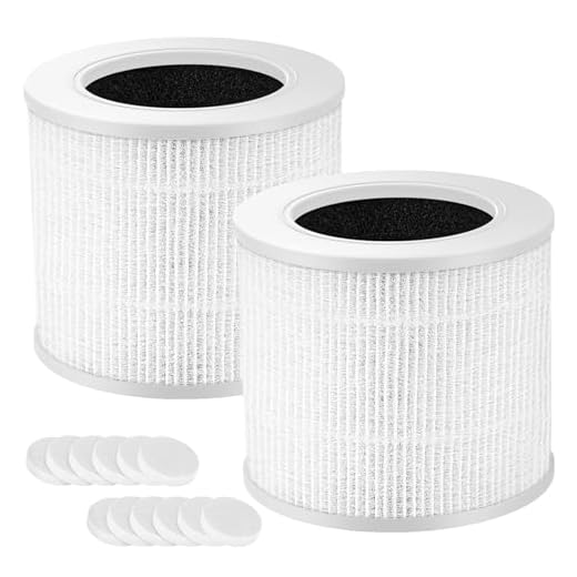 2-Pack Replacement Filters for Core Mini