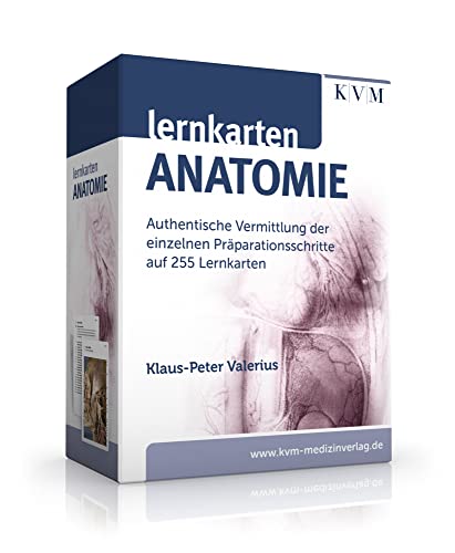 Image of Lernkarten Anatomie