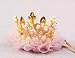 Nishine Gold Silber Krone Stirnband für Hund Katze Rosa Tüll Mesh Krone Tiara Haustier Krone Haarband Hut Party Kostüm (Gold)
