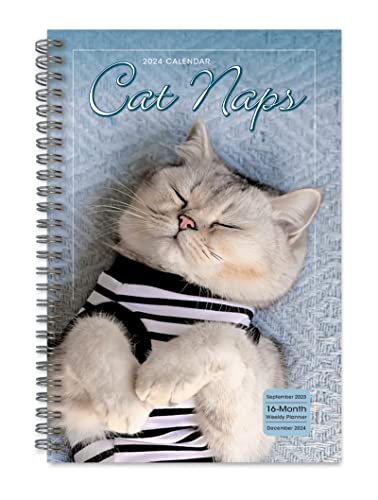 Cat Naps
