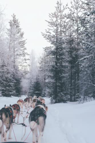 Winter Dog Sled Journal
