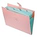 BTSKY Expanding File Folder-- Smiling Face A4 and Letter Size Archival File Holder Organizer, 5 Pockets (Pink)