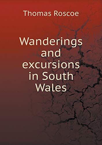 Wanderings and excursions in South Wales 5519183996 Book Cover