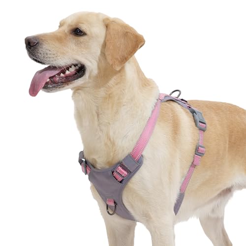 Huntboo No-Pull Dog Harness