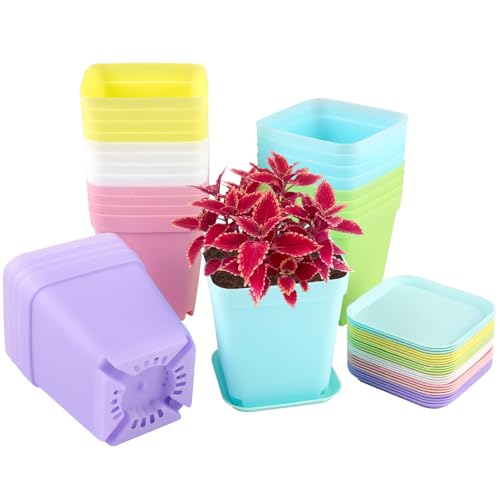 24 Piezas Mini Macetas Pequeñas Plastico, 7 x7 x 8 cm Macetas de Colores Cuadradas, Tiestos para Plantas Exterior Interior con Bandeja, Maceteros Pequeños para Floración, Suculentas, Vivero Decoración