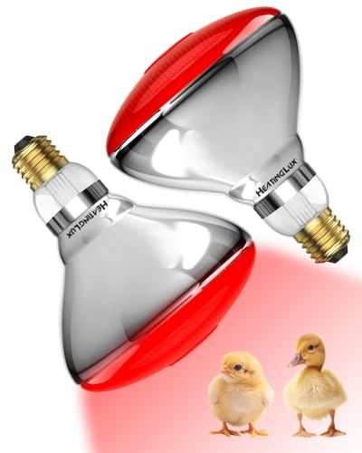 HeatingLux Lampe Chauffante Infrarouge E27, 250 Watt Ampoule Chauffante, Lampe Chauffante Rouge pour Élevage, Restauration, Thérapie par Lumière Infrarouge