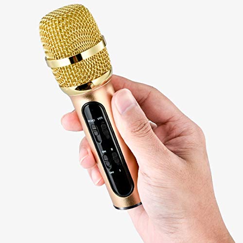 Microphone à condensateur et studio de poche écho pour chant sur ordinateur