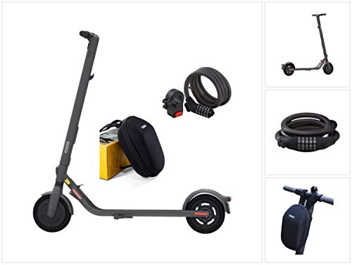 Kick Scooter E25D E-Scooter Elektro Roller 300 W 20 km/h + KickScooter Zahlenschloss + KickScooter Lenkertasche