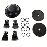 Hypro D252 Pump Repair Kit