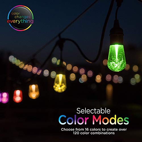 Enbrighten Vintage Seasons Café Lights, Outdoor String Lights, Black, 48 Foot Length, 24 Lifetime Bulbs, Color Changing, Weatherproof, Shatterproof, Commercial Grade, 37790 #TOP1