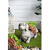 A B Home Classic Cement Dog Indoor Outdoor Planter Sitting Dachshund Weiner Dog Shaped Herb Garden Succulents Cute Animal Flower Plant Pot Gray 20x7x12in
