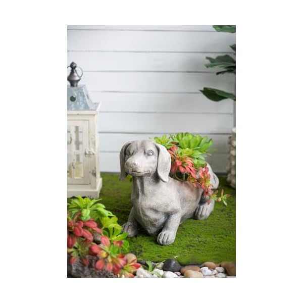   urban country home decor