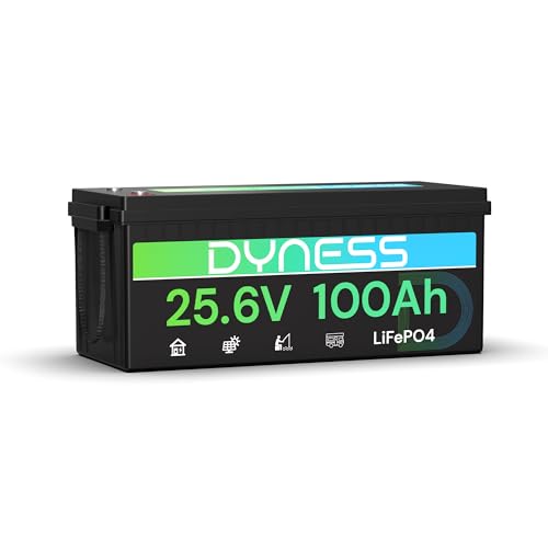 Dyness Batteria al Litio LiFePO4 24V 100Ah con 100A BMS, Batteria Accumulo Fotovoltaico 20.48 kWh(Max.8 Batterie), Motore Elettrico per Pescherecci Elettrici, Camper, Pannelli Solari