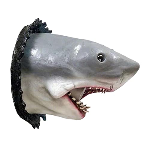 Best Shark Head Wall Mounts To Spruce Up Your Home