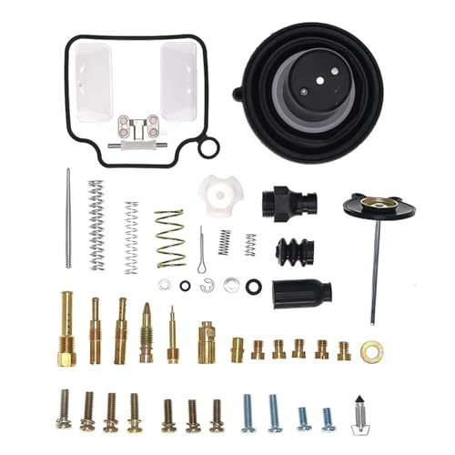 Kit réparation carburateur Rebel 250 CMX pour entretien moto CA250