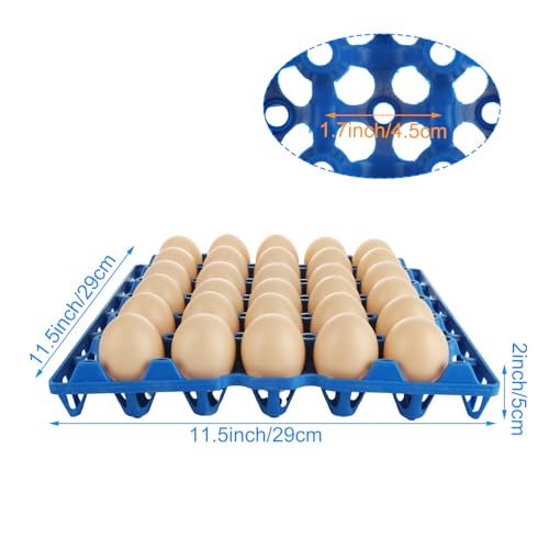 Emballage à œufs robuste DAJAVE en plastique rigide lavable et empilable - 3