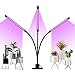 Winjoy Grow Light, 30W LED Grow Lamp Bulbs Plant Lights Full Spectrum, Auto ON & Off with 3/6/12H Timer 5 Dimmable Levels Clip-On Desk Grow Lamp for Indoor Plants