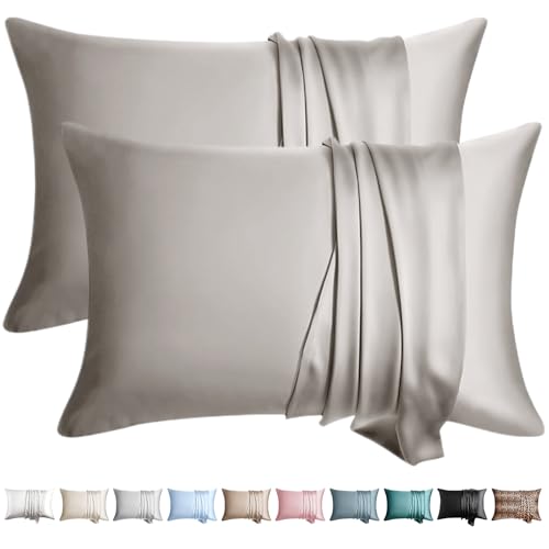WLOSJ 100% Silk Pillow Cases 2 Pack Queen Size Mulberry Silk Pillowcase for Hair and Skin Set of 2 Highest Grade 6A Silk Soft Breathable Cooling with Hidden Zipper Grey