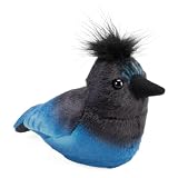 Audubon Stellers Jay Plush with Sound
