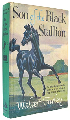 Sun of the Black Stallion B00V1ZT4TQ Book Cover
