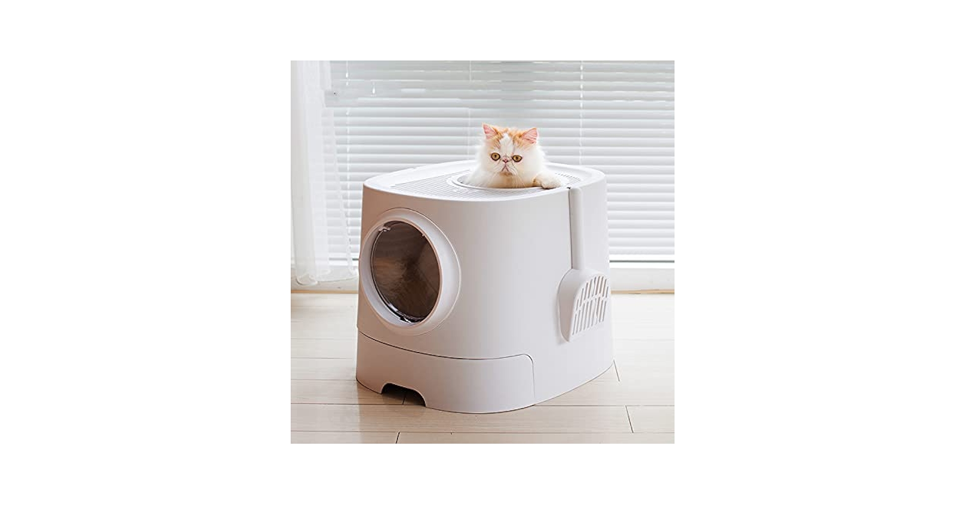 Amazon | 猫 トイレ 上から 猫トイレ 上から入る 猫用 トイレ