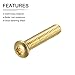 DTGN M4x20mm(DXL) Brass Phillips Machine Screws - 20Pack - Good for Machinery Industry - Pan Head Fastening Screw - Brass Tone