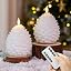 White Pine Cone
