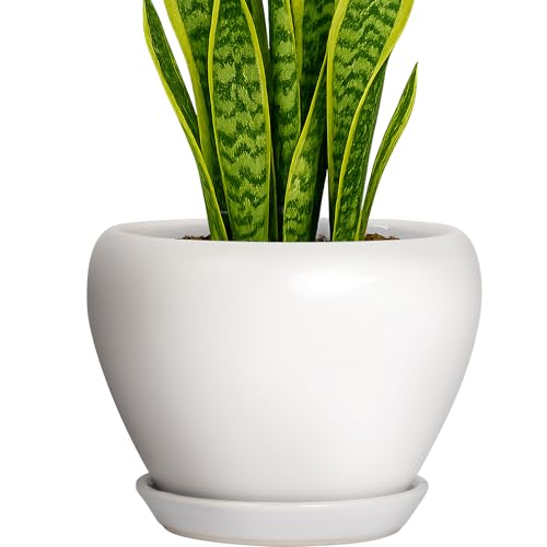 Deep Dream 8 Inch Plant Pot - Ceramic Planter with Drainage Hole and Trays, Modern Round Flower Pot, Planters for Indoor Outdoor Plants, Home Garden Decor, White