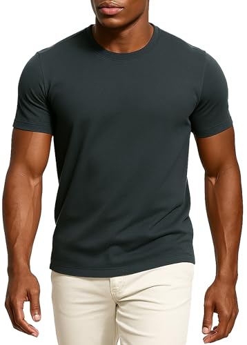 Leif Nelson T-Shirt Herren Sommer Rundhals-Ausschnitt (Grau, Größe M), Slim Fit Herren-T-Shirt 100% Baumwolle, Casual Basic Männer T-Shirt Kurzarm