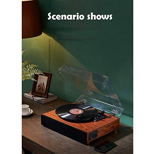 Phonographe, Tourne-Disque Vinyle, Platine à 3 Vitesses, phonographe Vintage LP à entraînement par Courroie, Haut… - Les Beatles, Paul McCartney, John Lennon, RIngo Starr, George Harrison Phonographe, Tourne-Disque Vinyle, Platine à 3 Vitesses, phonographe Vintage LP à entraînement par Courroie, Haut… – Image 5