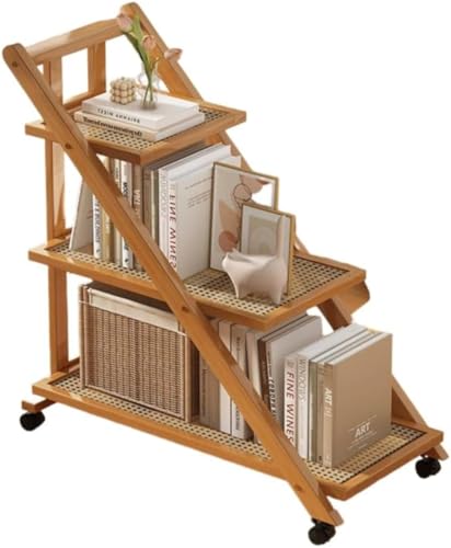 PVTK܂肽݃TChe[u 3wٕ҂ ؐF LX^[tȃXy[X xbhTCh\t@[œK (3w,ؐF/ٕ҂)