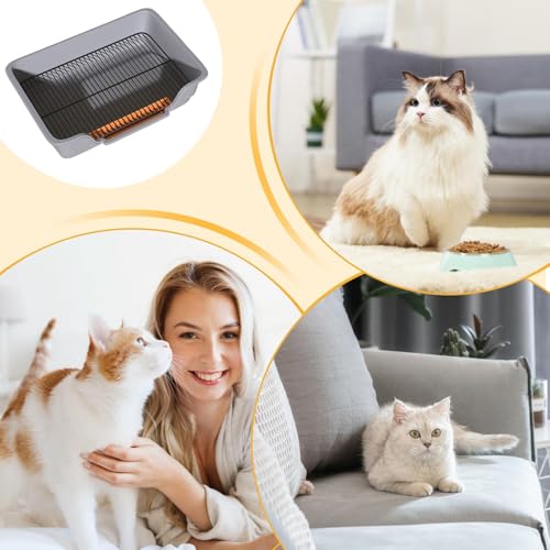 Bandejas para gatos de interior y exterior en apartamentos 5