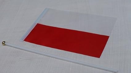 Amazon Co Jp 手旗 国旗 ポーランド 万国期 国旗 インテリア 世界 ミニ 国旗 ガーランド 国旗 おもちゃ